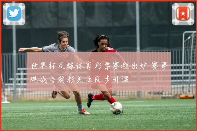 世界杯足球体育彩票赛程出炉 赛事观战与购彩关注同步升温