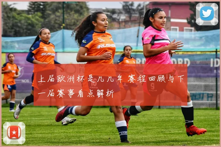 上届欧洲杯是几几年 赛程回顾与下一届赛事看点解析