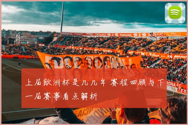 上届欧洲杯是几几年 赛程回顾与下一届赛事看点解析