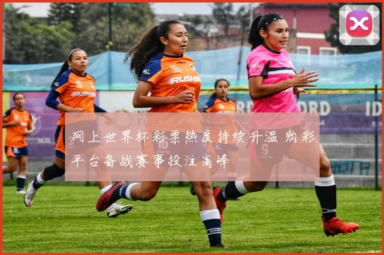网上世界杯彩票热度持续升温 购彩平台备战赛事投注高峰