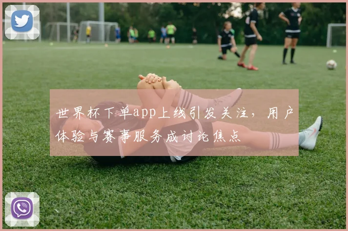 世界杯下单app上线引发关注，用户体验与赛事服务成讨论焦点