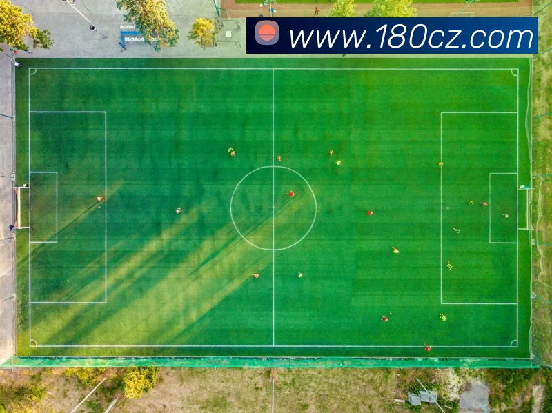 乐竞网站APP 封面图